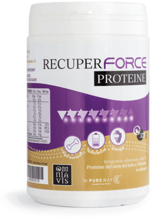 Recuper force proteine